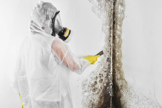 Best Mold Testing  in Three Rivers, CA