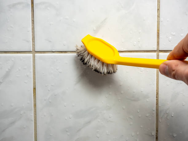 Best Local Mold Removal Service  in Three Rivers, CA