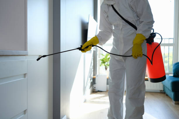 Crawl Space Mold Removal in Three Rivers, CA