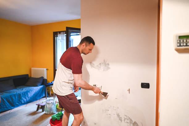 Best Best Mold Removal Companies  in Three Rivers, CA