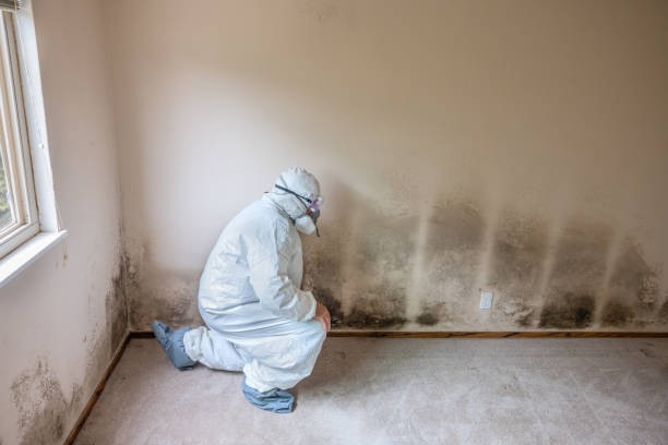 Best Mold Testing  in Three Rivers, CA