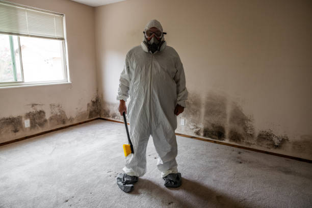 Best Professional Mold Removal  in Three Rivers, CA