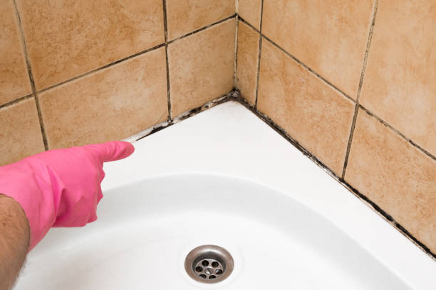Best Mold Cleaning Services  in Three Rivers, CA